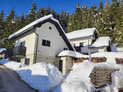 a house covered in snow with trees in the background at Holiday house Nune in Zreče