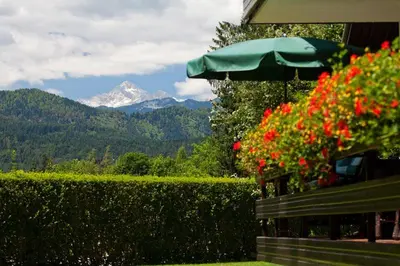 a bench with red flowers and a mountain in the background at Lake Bled Apartment Marjetka in Bled