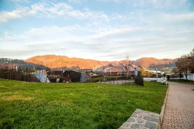 a grassy field with a fence and trees in the background at Apartment Amy in Podčetrtek