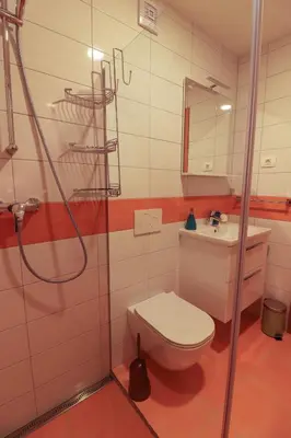 a bathroom with a shower and a toilet and a sink at Apartments & Rooms Pr' Skalovc in Bohinj