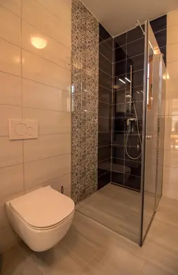 a bathroom with a toilet and a shower at Apartments & Rooms Pr' Skalovc in Bohinj
