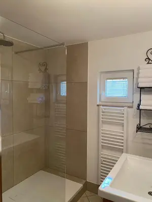 a bathroom with a glass shower and a sink at Apartments Vila Cvetka Bled in Bled