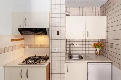 a white kitchen with a stove and a sink at Apartment house Jager in Bohinj