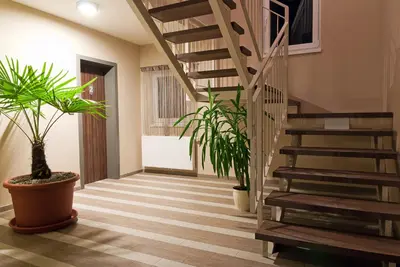 a hallway with stairs and potted plants at Hostel Plus Caffe in Petrovče