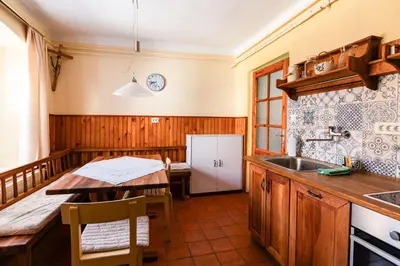 a kitchen with a table and a sink and a refrigerator at House, Garden and a Green Cat in Bled