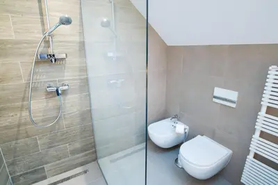 a bathroom with a toilet and a shower at Apartments Maison in Kranjska Gora