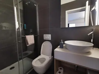 a bathroom with a toilet and a sink and a shower at Cha Cha Rooms in Ljubljana