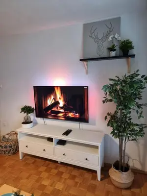 a living room with a tv and a fireplace at Apartment Gulek in Zreče