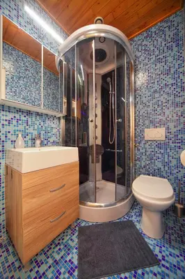 a bathroom with a shower with a toilet and a sink at Apartment Viki in Kranjska Gora