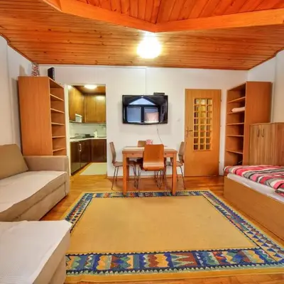 Apartment Viki