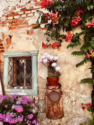 a building with a bunch of flowers and a window at Vila Gorenka in Bled