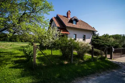 a house with a roof on a green field at D&J house in Ormoz