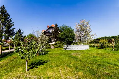 a house in a yard with a tree in the grass at D&J house in Ormoz