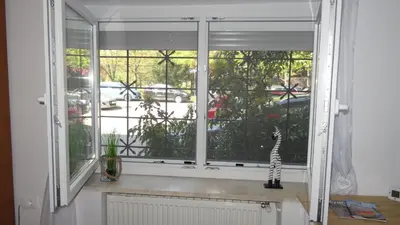 a window in a room with a zebra skeleton sitting on a window sill at Apartma Nadja with private parking in Ljubljana