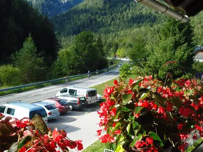 a group of cars parked on a road with red flowers at Apartma Groš in Kranjska Gora