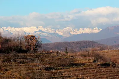 a view of a mountain range with snow covered mountains at Apartma Vita in Dobrovo