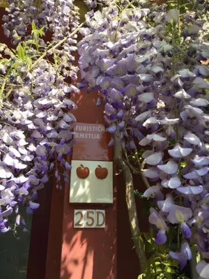 a bunch of purple flowers on top of a sign at Apartma Vita in Dobrovo