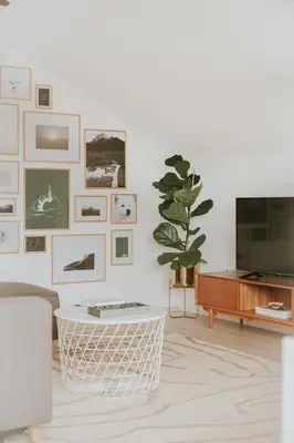 a living room with a television and a potted plant at Home in Bled in Bled