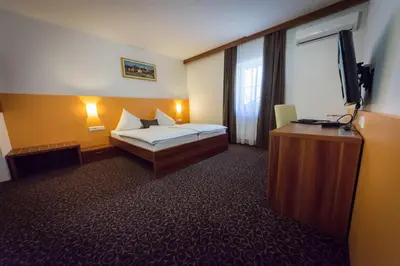 a hotel room with a bed and a television at Domačija Vodnik & Apartments in Cerklje na Gorenjskem