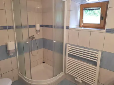 a bathroom with a shower with a toilet and a window at Domačija Vodnik & Apartments in Cerklje na Gorenjskem