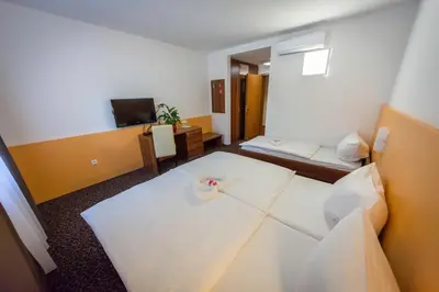a hotel room with a bed and a television at Domačija Vodnik & Apartments in Cerklje na Gorenjskem