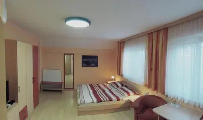 a bedroom with a bed in a room with windows at Rooms En Krajcar in Cerknica