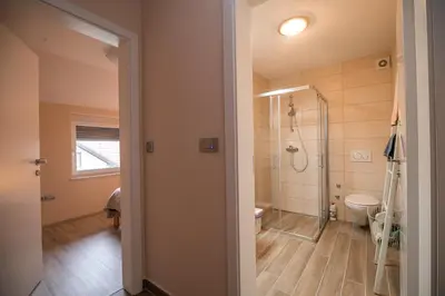 a bathroom with a shower and a toilet at Apartment Stil near Terme Paradiso in Dobova