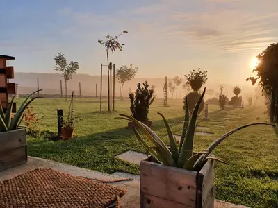 a garden with potted plants in a field at Glamping NA BREJGI in Filovci
