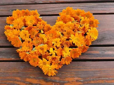 a heart shaped bouquet of orange and yellow flowers at Glamping NA BREJGI in Filovci