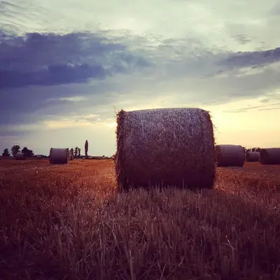 a person standing in a field with hay bales at Glamping NA BREJGI in Filovci