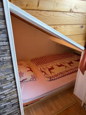 a bunk bed in a tiny house at Apartma Snežko in Kranjska Gora