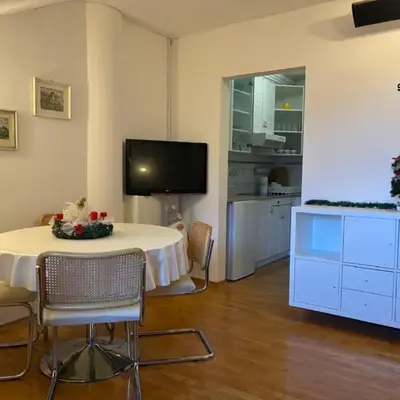 Apartma Snežko