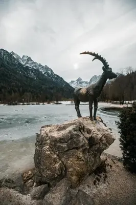 a statue of a goat on a rock next to a river at APARTMA KATKA Vila Mojca in Kranjska Gora