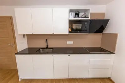 a white kitchen with a sink and a microwave at Old Boatman's House in Bled