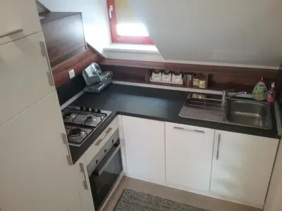 a small kitchen with a stove and a sink at Hudinja 111 in Vitanje