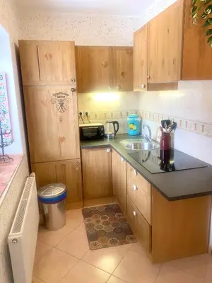 a kitchen with a sink and a counter top at Guesthouse Sabine - pr` Skminc in Bohinjska Bela