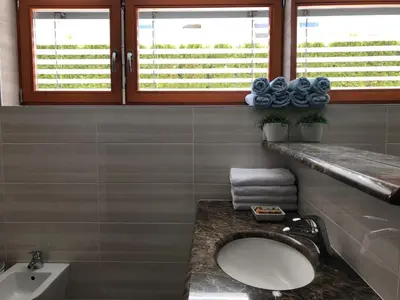 a bathroom with a sink and a toilet and two windows at Klinar - Cosy apartment with a terrace in Bled