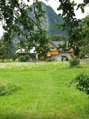 a house in a field with a mountain in the background at APARTMA BREMEC-STUDIO in Bohinj