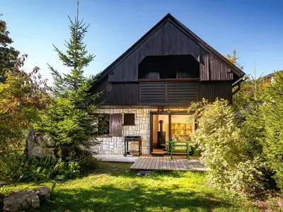 a house with a black roof and a yard at Idyllic cottage in beautiful Alps in Zgornje Jezersko