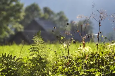 a field of green grass with a house in the background at Idyllic cottage in beautiful Alps in Zgornje Jezersko