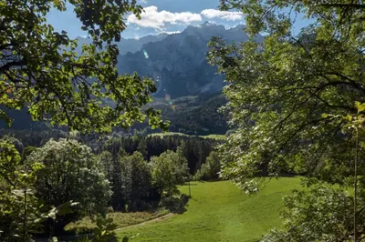 a view of a valley through the trees at Idyllic cottage in beautiful Alps in Zgornje Jezersko