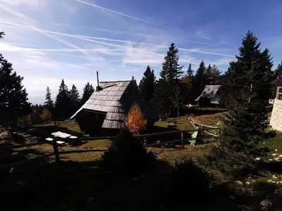 a small cabin in the middle of a forest at Chalet Gasparjeva Velika Planina in Kamnik