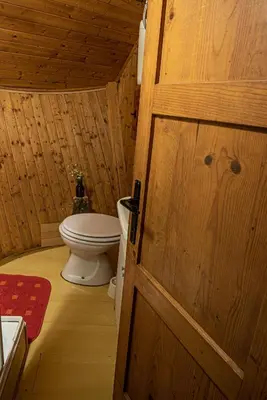 a bathroom with a toilet and a wooden door at Chalet Gasparjeva Velika Planina in Kamnik