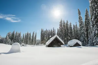 a cabin in the snow with snow covered trees at Apartmaji Štrud´l Bohinj in Bohinj