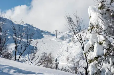 a snow covered hill with trees and a ski slope at Apartmaji Štrud´l Bohinj in Bohinj