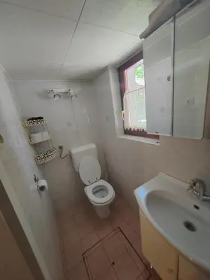 a bathroom with a white toilet and a sink at KOČA PLANIKA, SVIŠČAKI in Ilirska Bistrica