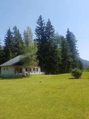 a house in the middle of a field with trees at Vila Krpan Kranjska Gora in Gozd Martuljek