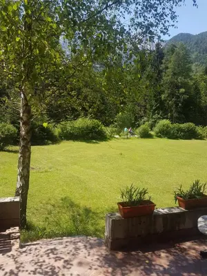 a green yard with two potted plants and a tree at Vila Krpan Kranjska Gora in Gozd Martuljek