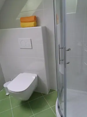 a bathroom with a toilet and a shower at Apartma Momo in Bohinj