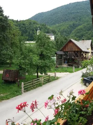 a road leading to a barn and a house at Apartma Momo in Bohinj